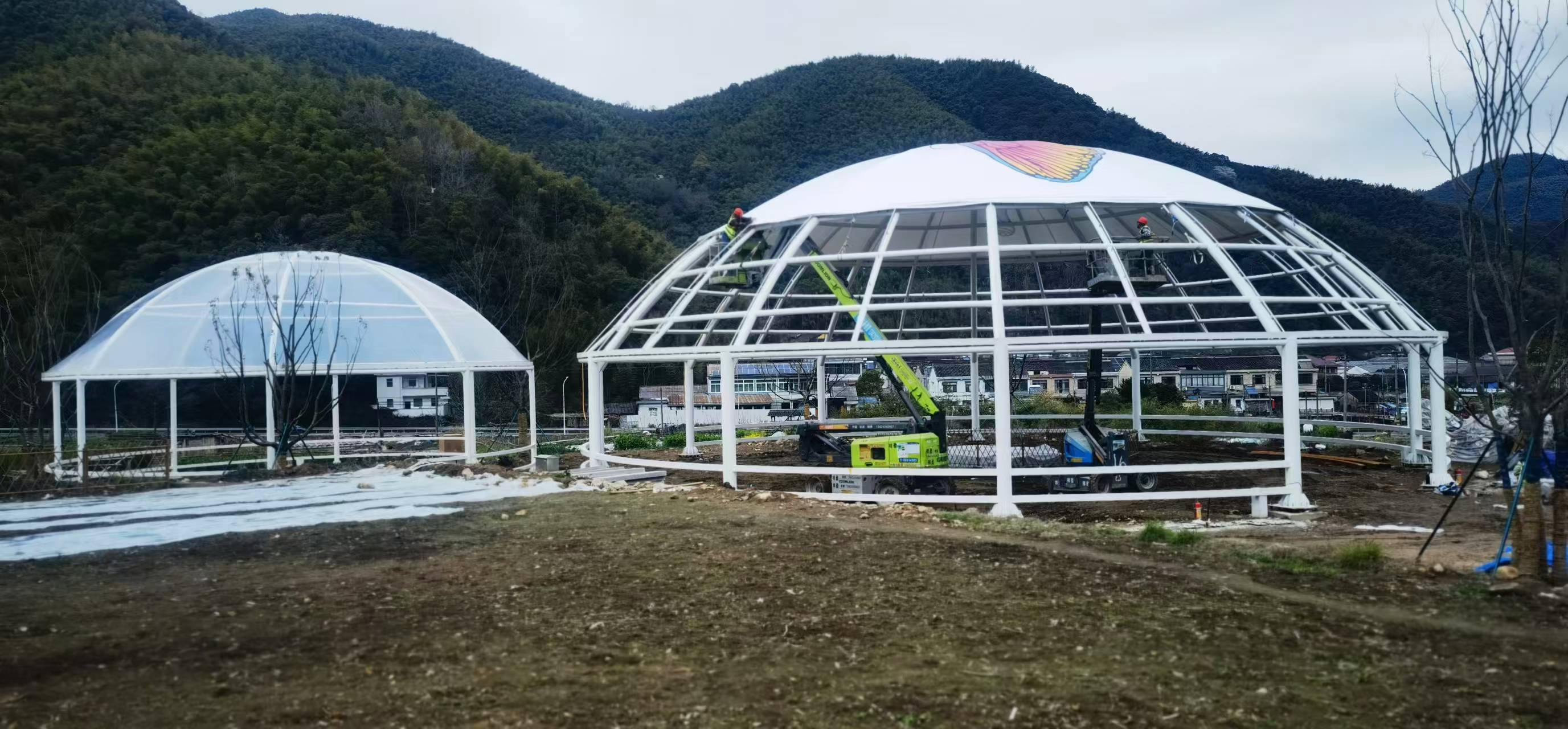 配图